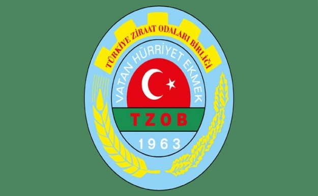 TZOB Dağlıca'daki saldırıyı lanetledi 