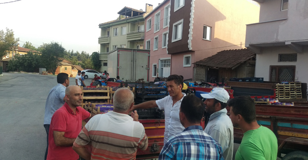 CHP'li Sarıbal: İncir Üreticileri Çözüm Bekliyor