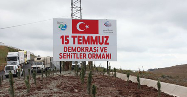 İstanbul'da 15 Temmuz Şehitleri İçin Hatıra Ormanı Kuruluyor