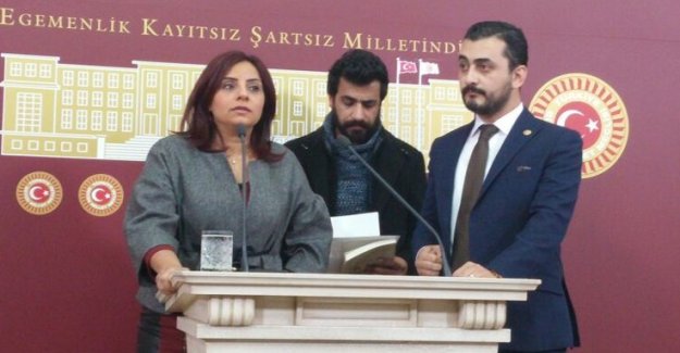 CHP'li Eren Erdem AK Parti'nin Meclis Yasağını Deldi
