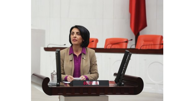 CHP’li Kayışoğlu: Bakanlık Yaşar Kemal Müzesi İçin Hemen Harekete Geçmeli