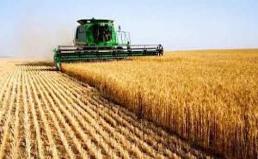 Tarım-ÜFE Mart'ta Yüzde 0,98 Azaldı