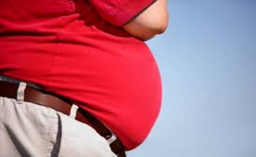 Obez Bireylerin Oranı 2016 Yılında Yüzde 19,6 Oldu