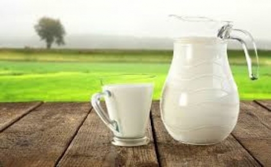 Düzenli Süt Tüketimi Hipertansiyonu Dengeliyor