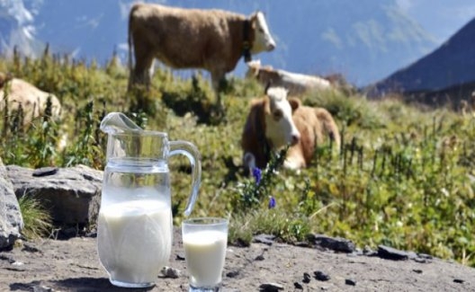 Eylül Ayına İlişkin Süt Ve Süt Ürünleri Üretimi Verileri Açıklandı