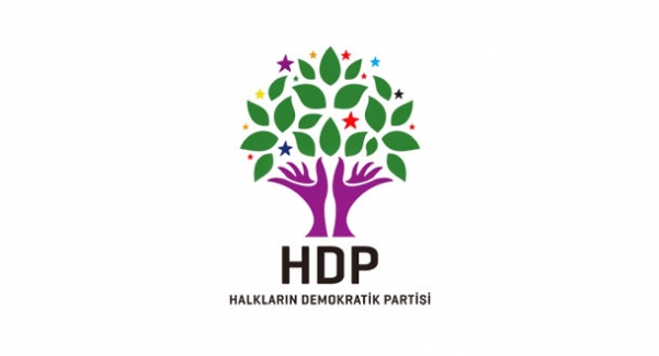 HDP’nin Meclis Başkan Adayı Selma Irmak
