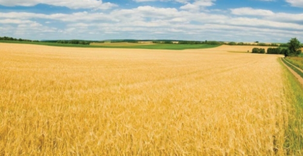 Tarım- ÜFE Ocak Ayında Yüzde 1.62 Arttı