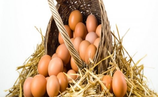 1.6 Milyar Adet Tavuk Yumurtası Üretildi