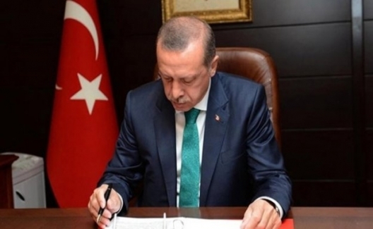 Cumhurbaşkanı Erdoğan, 8 Üniversiteye Rektör Atadı