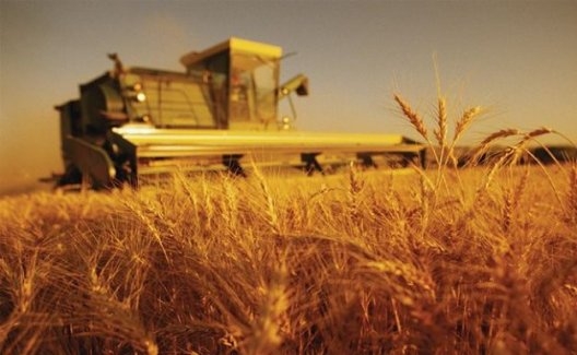 Tarım- ÜFE Mayıs Ayında Yüzde 0.55 Azaldı