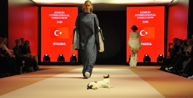 Vakko ESMOD Defilesinde ‘Catwalk’ Yapan Kedi Milyonların Sevgilisi Oldu
