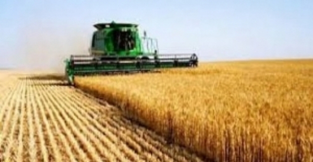 Tarım-ÜFE Kasım'da Yüzde 2,53 Arttı
