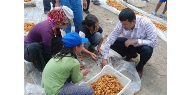 CHP’li Ağbaba, Mevsimlik Tarım İşçilerini Meclis Gündemine Taşıdı