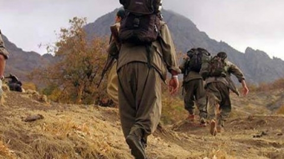 Diyarbakır Lice'de Bir PKK'lı Terörist Yakalandı