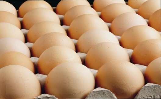 Tavuk Yumurtası Üretimi Nisan'da Bir Önceki Aya Göre Yüzde 3,4 Azaldı