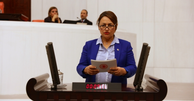 CHP'li Şevkin Engellilerin ‘İş’ Mağduriyetini Meclis Gündemine Taşıdı