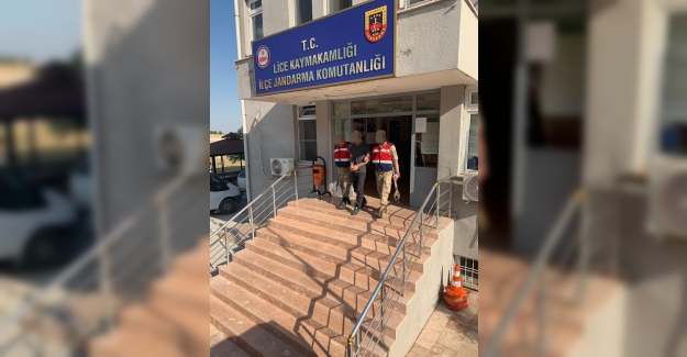 Diyarbakır'ın Lice İlçesinde Bir PKK'lı Terörist Yakalandı