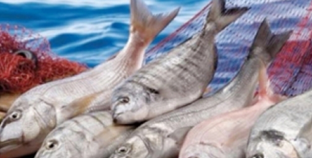 TZOB Başkanı Bayraktar: “Balıkçılar ‘Vira Bismillah’ Diyerek Denize Açılacak…”