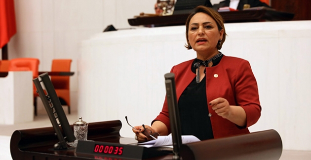 CHP'li Şevkin: “Halk Yoksullukla Boğuşuyor, Sarayın Bütçesi Sürekli Artıyor”