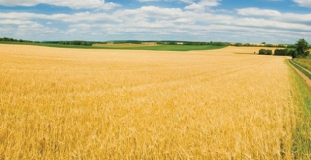 Tarım-ÜFE Aralık'ta Yüzde 2,17 Arttı