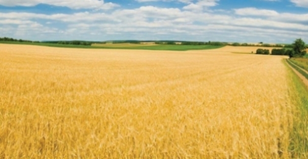 Tarım-ÜFE Aylık 3,02, Yıllık Yüzde 10,41 Arttı