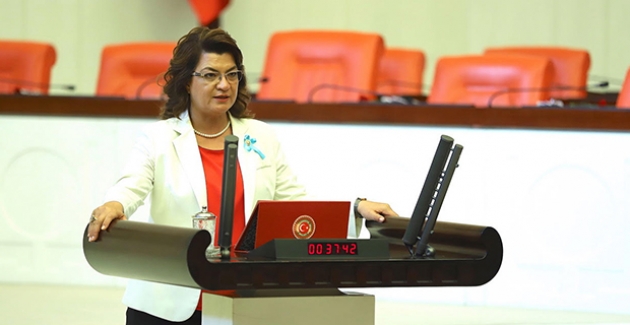 CHP'li Şahin Ücretli Öğretmen Mağduriyetini Meclise Taşıdı