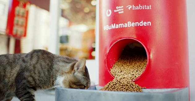 Türkiye Vodafone Vakfı’ndan “Salgında Sokak Hayvanlarını Unutma” Çağrısı