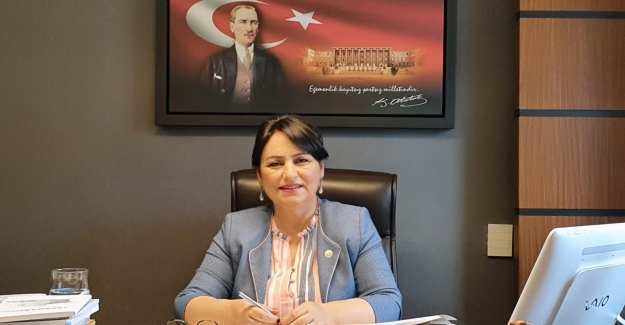 CHP'li Şevkin: “ÇBH’yi Bırak, Adana Havalimanına Bak!”