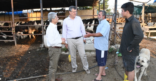 CHP’li Barut: "Süt Üretici Bu Kötülüğü Yapanları Affetmeyecek"