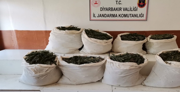 Diyarbakır'ın Lice ilçesi'nde 325 Kilogram Esrar Maddesi Ele Geçirildi