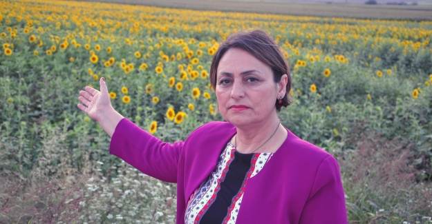 CHP'li Şevkin'den Tarım Arazilerinden Emlak Vergisi Alınmaması İçin Kanun Teklifi
