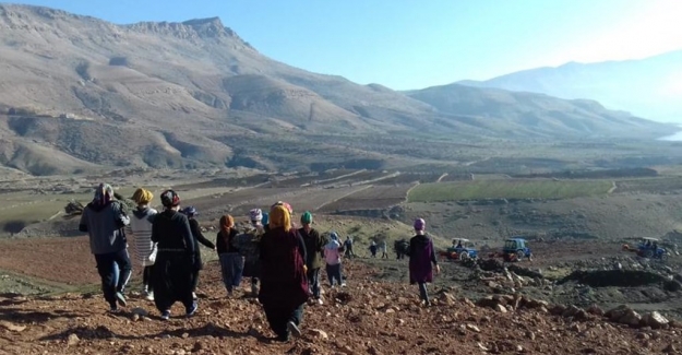 Bir Dünya Üreten Kadın Projesi” Mardin’de Kadın İstihdamını Artırıyor