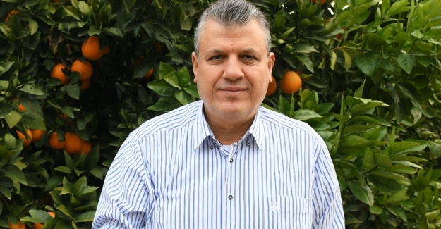 CHP'li Barut: "Portakal İhracatını Yasaklayan Skandal Sona Erdi”
