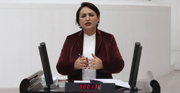 CHP'li Şevkin: “Gençlerin Önündeki Kara Tabloyla Teknoloji Gelişmez”