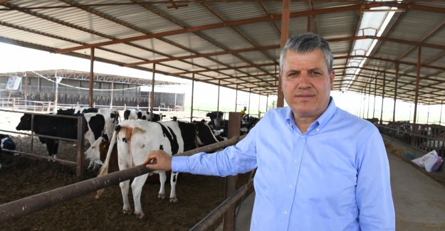 Ayhan Barut: "Bir Kilogram Süt İle 1.5 Kilogram Yem Alınabilmeli"