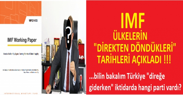 IMF'ye Göre Türkiye 2001'de "Direkten Dönmüş"