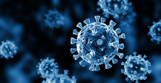 Korona Virüste "Laboratuvar Sızıntısı" Komplosuna Bilim Dünyası “Hayır” Diyor