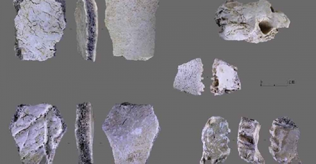 Çin’de 32 Bin Yıl Öncesine Tarihlenen İnsan Kafatası Fosili Bulundu