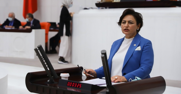 CHP'li Şevkin: “Kadınların Çaresizliğe İtilmesi Kabul Edilemez”