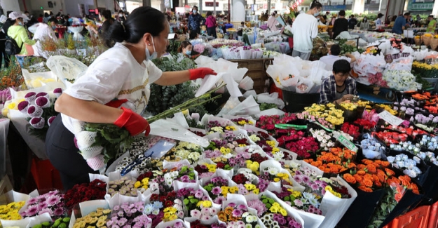 Çin’in Çiçek İhracatı 700 Milyon Doları Aştı