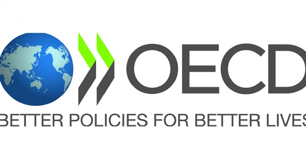 OECD: Türkiye'de İşsizlik Belirgin Şekilde Düştü