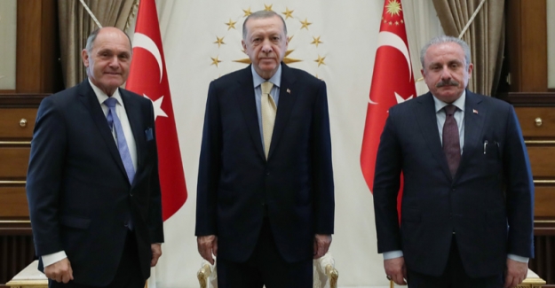 Cumhurbaşkanı Erdoğan, Avusturya Meclis Başkanı Sobotka’yı Kabul Etti