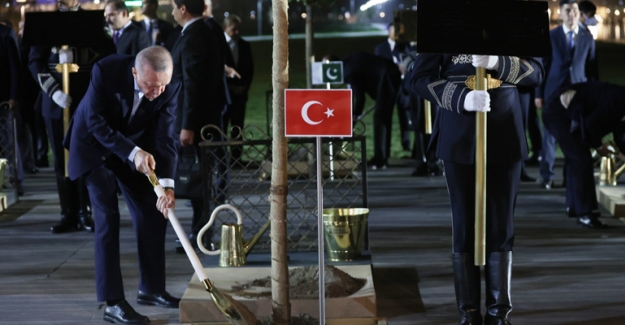 Cumhurbaşkanı Erdoğan, Şanhay İşbirliği Teşkilatı Zirvesi'ne Katılan Liderlerle Ağaç Dikme Törenine Katıldı