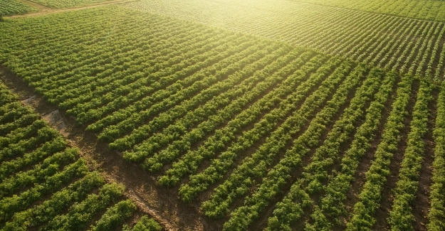 Tarım-ÜFE Mayıs'ta Yüzde 2,14 Arttı