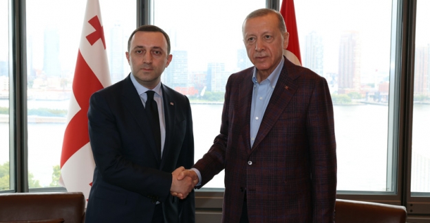 Cumhurbaşkanı Erdoğan, Gürcistan Başbakanı Garibashvili ile Görüştü