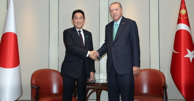 Cumhurbaşkanı Erdoğan, Japonya Başbakanı Fumio ile Görüştü