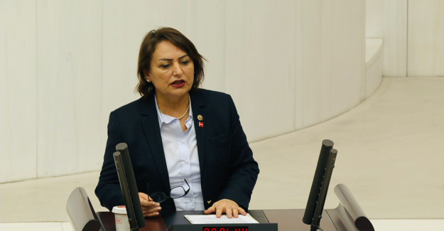 CHP’li Şevkin: “Cumhurbaşkanı Adanalıları Cezalandırıyor!”