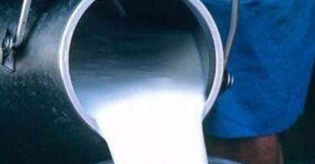 Çiğ Süt Üretimi 2022 Yılında Yüzde 7,1 Azaldı