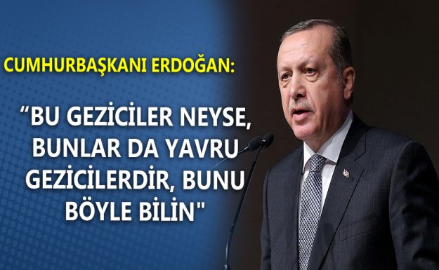 Erdoğan: Bu Geziciler Neyse Bunlar Da Yavru Gezicilerdir