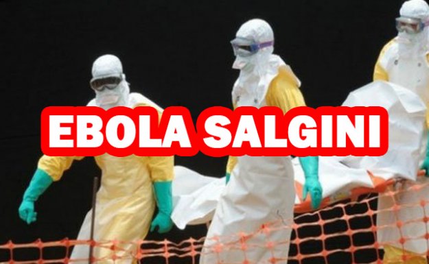 Batı Afrikada Ebola Salgını